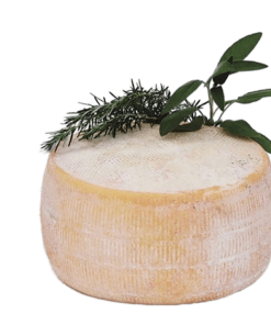 Queso de Oveja – Pecorino Del Alta Murgia Caseificio Coratino 2.3kg Aprox